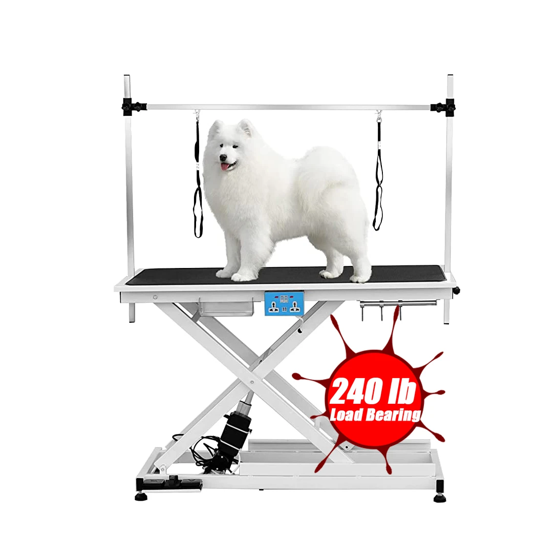 Arm Drying Electric Adjustable Height Dog Grooming Table Professional Veterinary Equipment Electric Dog Grooming Table
Arm Drying Electric Adjustable Height Dog Grooming Table Professional Veterinary Equipment Electric Dog Grooming Table