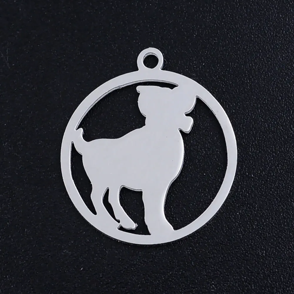 Stainless Steel Silver 12 Zodiac Necklace Pendants Charm Necklaces Accessories 5Pcs/Bag
Stainless Steel Silver 12 Zodiac Necklace Pendants Charm Necklaces Accessories 5Pcs/Bag