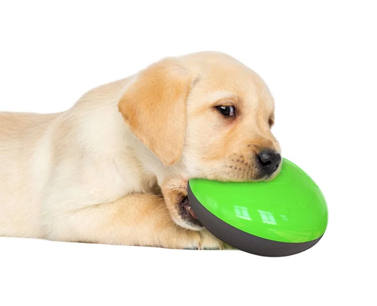 Professional Pet Toy Supplier From Shandong Interactive Pet Toy Pet Puzzle Toys
Professional Pet Toy Supplier From Shandong Interactive Pet Toy Pet Puzzle Toys