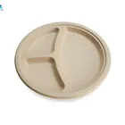 Wholesale 10 Inch Disposable Biodegradable Wheat Straw Pulp White Paper Plate With Compartment Luxury Dinnerware Sets
