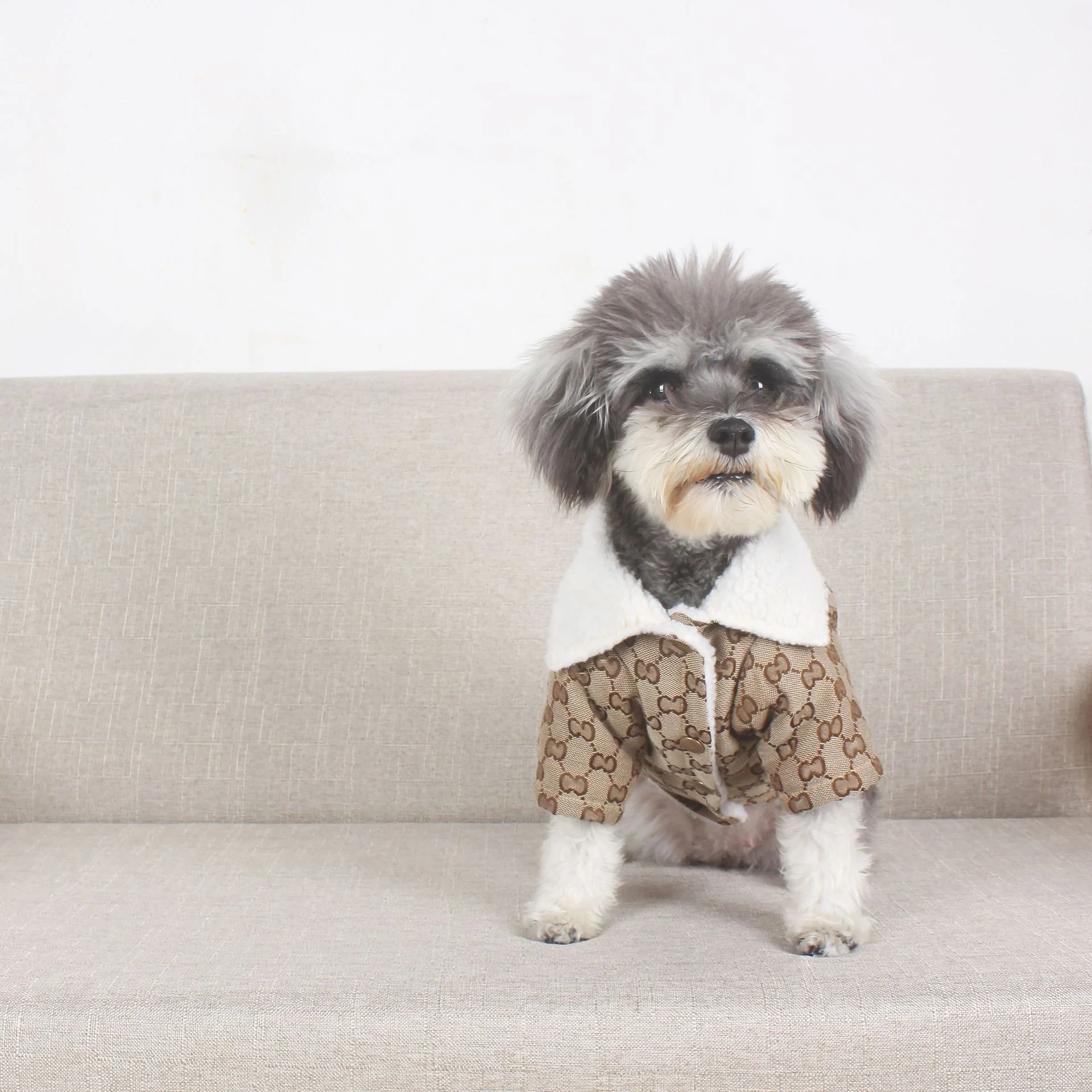 Luxury New Design autumn winter warm pet cotton-padded clothes lamb wool thick pet coat, Same as pictures
Luxury New Design autumn winter warm pet cotton-padded clothes lamb wool thick pet coat, Same as pictures