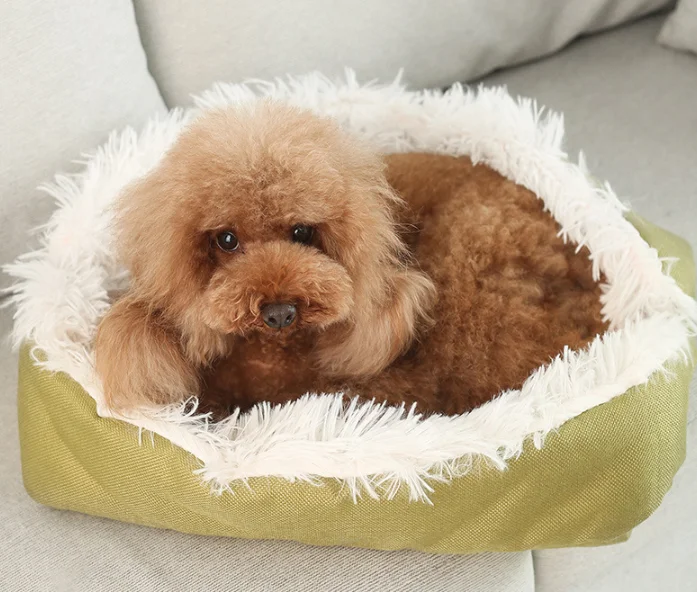 Dog Cat Sofa Velvet Pet Sleeping Bed
Dog Cat Sofa Velvet Pet Sleeping Bed