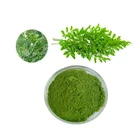 Wholesale organic bulk with free sample moringa oleifera leaf extract powder