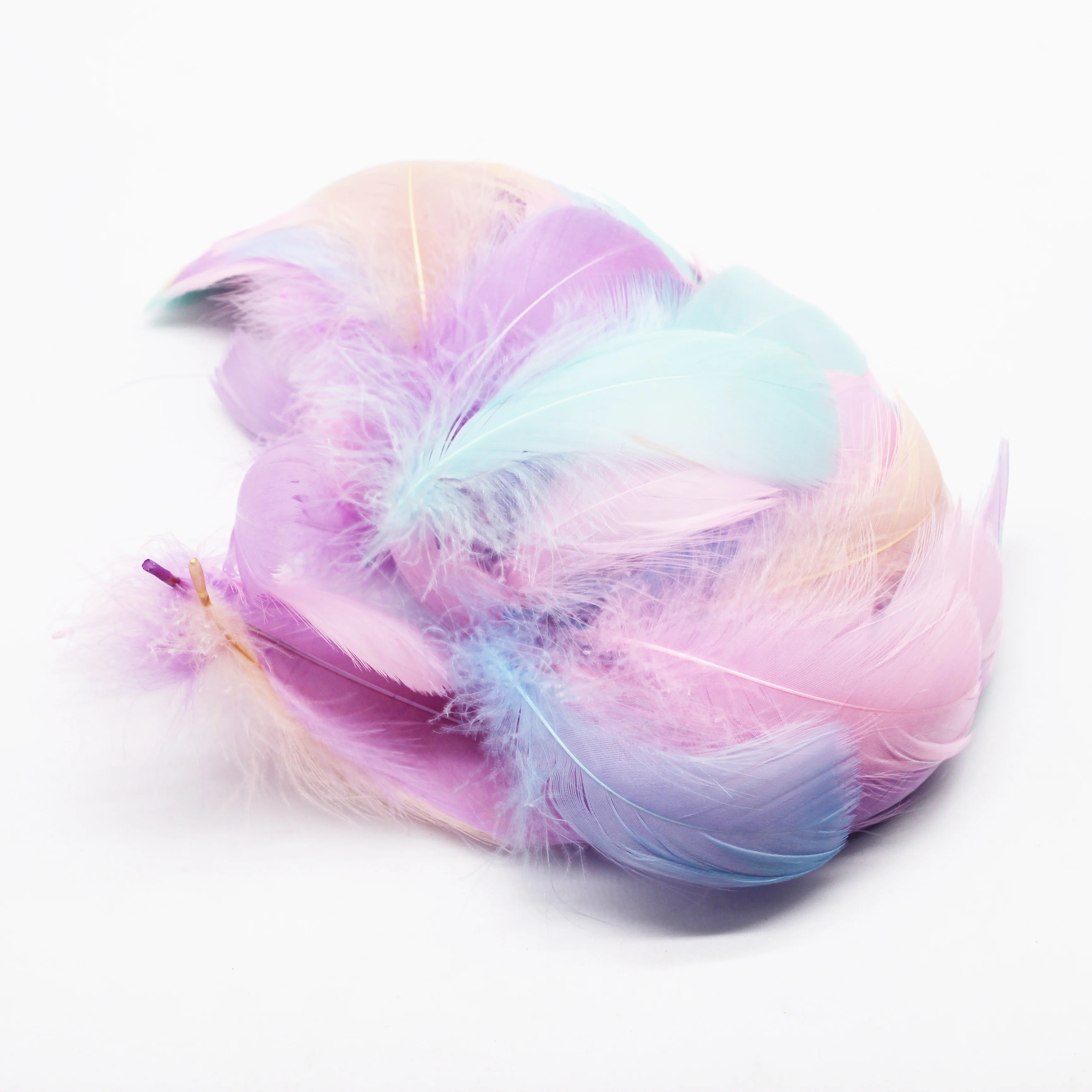 factory direct selling macaroon feathers colorful and smooth