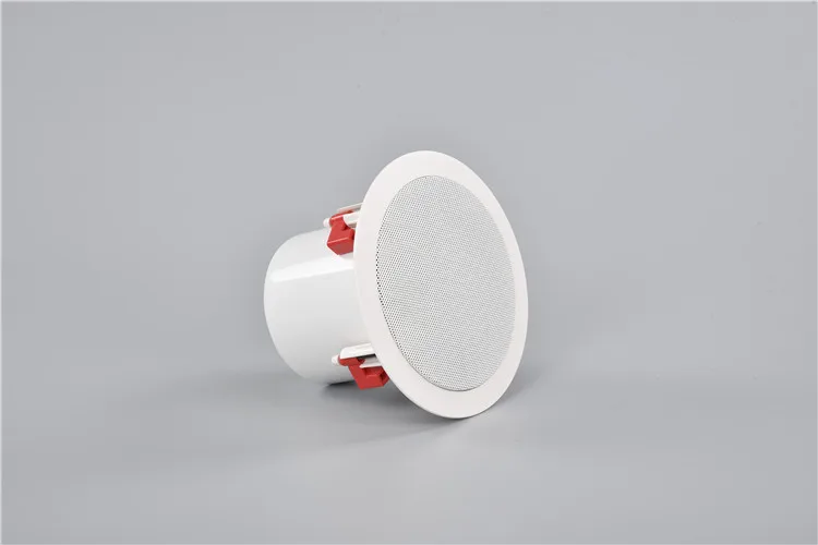 ARVOX A-S06TH Popular 10 Inch Inwall & Steel Ceiling Speaker - ANKUX.COM
