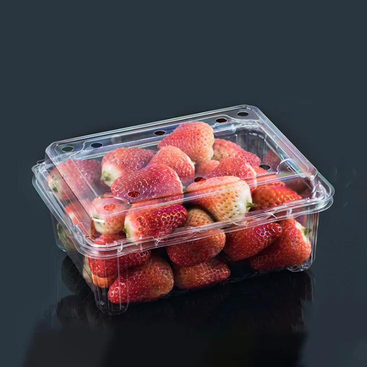 Disposable Clear Plastic Fruit Packaging Box Package Containers Rpet