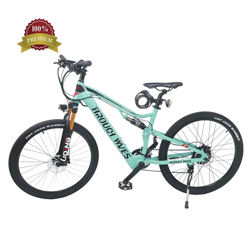 48V Dc Electric Moto Mountain Hybrid Rechargeable Battery Bicycle Bike, Customizable
48V Dc Electric Moto Mountain Hybrid Rechargeable Battery Bicycle Bike, Customizable