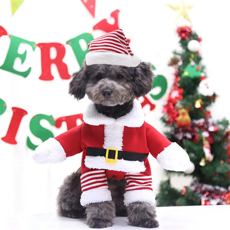 Pet Christmas Dress Dog And Cat Creativity Holiday Party Cosplay Suit 2 Pieces Sets With Christmas Hat
Pet Christmas Dress Dog And Cat Creativity Holiday Party Cosplay Suit 2 Pieces Sets With Christmas Hat