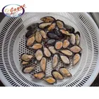 Factory manufacturing frozen cooked mussel without shell and half shell