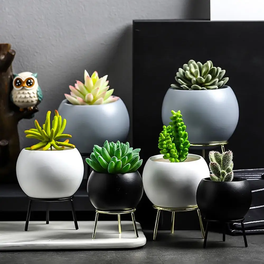 Nordic Mini White Ceramic Succulent Cactus Flower Plant Pots Metal Stand Holder And Plants Sign For Home Kitchen Garden Decor
Nordic Mini White Ceramic Succulent Cactus Flower Plant Pots Metal Stand Holder And Plants Sign For Home Kitchen Garden Decor