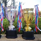 Big Trophy Cup trophies and awards/Trophy Parts Plastic