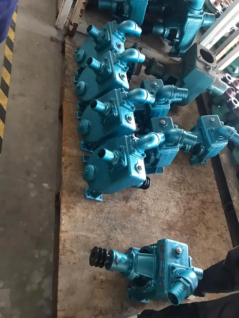 NS Series Marine Grade Diesel Pump 3-13hp Self-Priming Saltwater Fishery Aquaculture