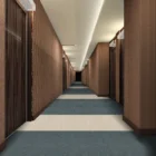 Multi- level loop Carpet rugs printed carpet tiles nylon rugs for commercial carpets stripped carpets