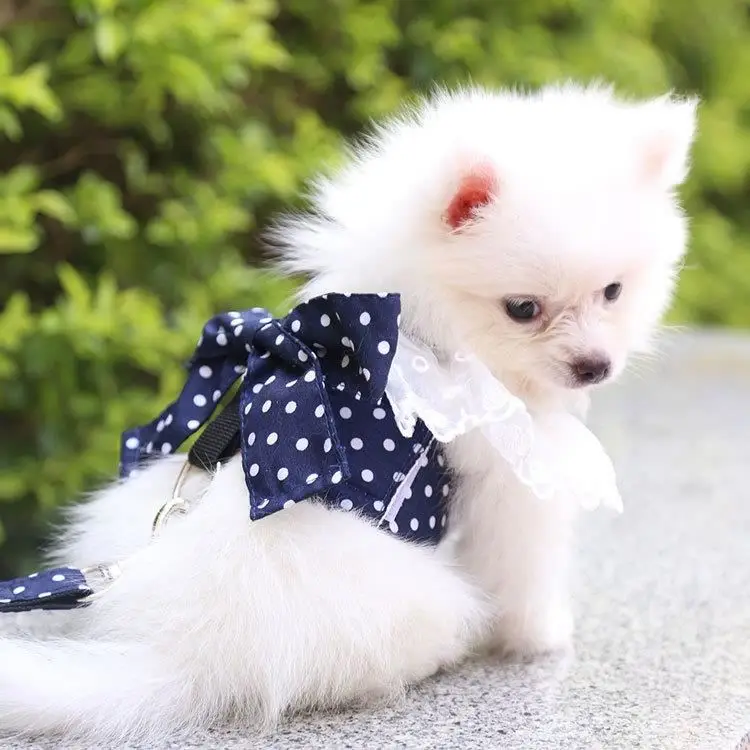 Popular breathable pet leash dog adjustable Wave point lace pet leash vest harness, Customized color
Popular breathable pet leash dog adjustable Wave point lace pet leash vest harness, Customized color