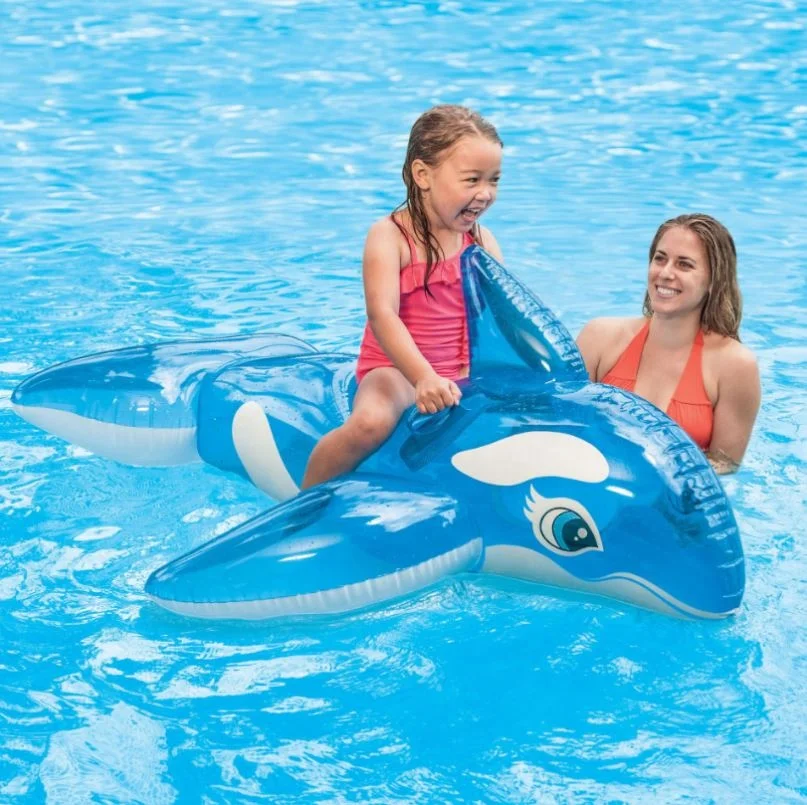 Transparent Blue Whale Mounts Children Water Play Equipment Ride-On Toy With 2 Heavy Duty Handles
Transparent Blue Whale Mounts Children Water Play Equipment Ride-On Toy With 2 Heavy Duty Handles