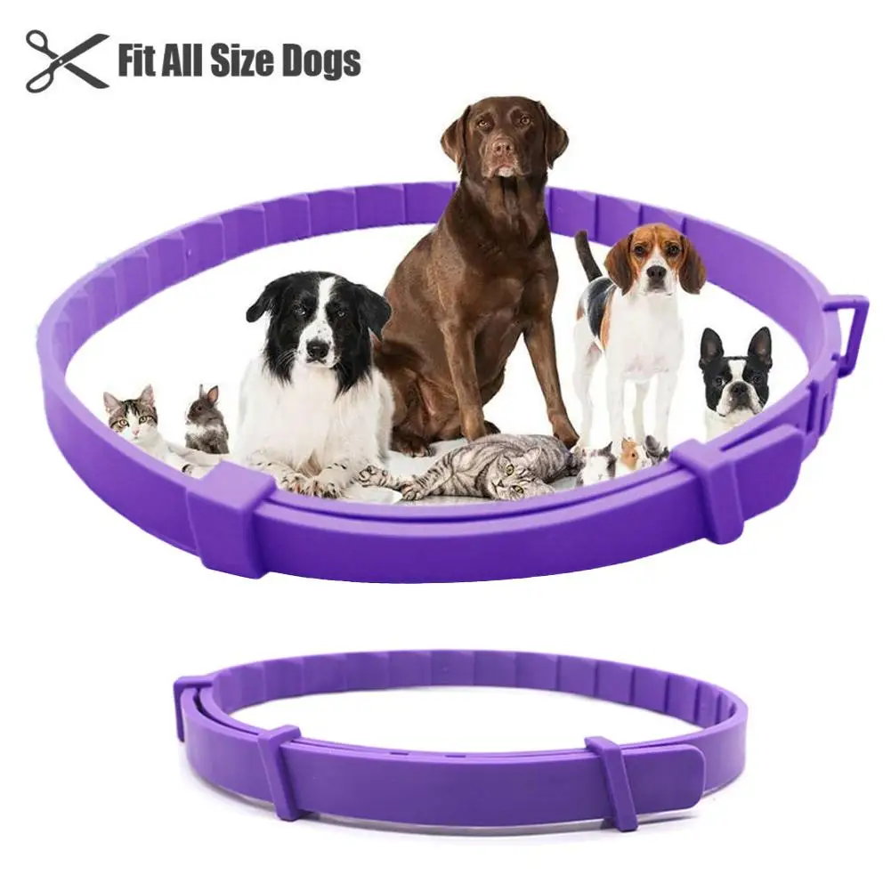 Pet Collars Pet Calming Collar Cat Comforting Collar For Small Medium Large Pet Wholesale Dropshipping
Pet Collars Pet Calming Collar Cat Comforting Collar For Small Medium Large Pet Wholesale Dropshipping