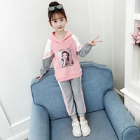 Hot Sale fashion children's suit Cotton Outfits hooded girls complete sets of clothing kids autumn clothes
Hot Sale fashion children's suit Cotton Outfits hooded girls complete sets of clothing kids autumn clothes