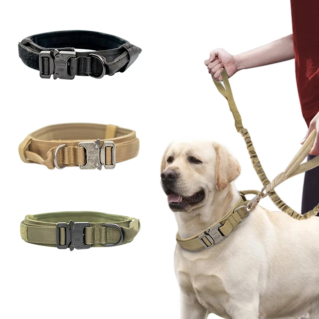 Double Thick Military Zinc Alloy Buckle Army Dog Nylon Pet Collar For Dog, Customized color
Double Thick Military Zinc Alloy Buckle Army Dog Nylon Pet Collar For Dog, Customized color