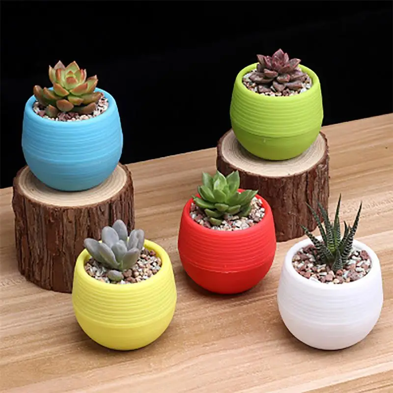 Succulents Small Mini Stone Pill Pots Fashion Resin Flower Plants Gardening Pot For Home Office
Succulents Small Mini Stone Pill Pots Fashion Resin Flower Plants Gardening Pot For Home Office