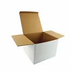Free Sample ECO Friendly Recycled White Corrugated Cardboard Plant Mailing Shipping Paper Box
