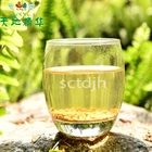 Hot Tea Hot Selling High Quality Organic Herbal Grain Tea Tartary Buckwheat Germ Tea With Factory Price