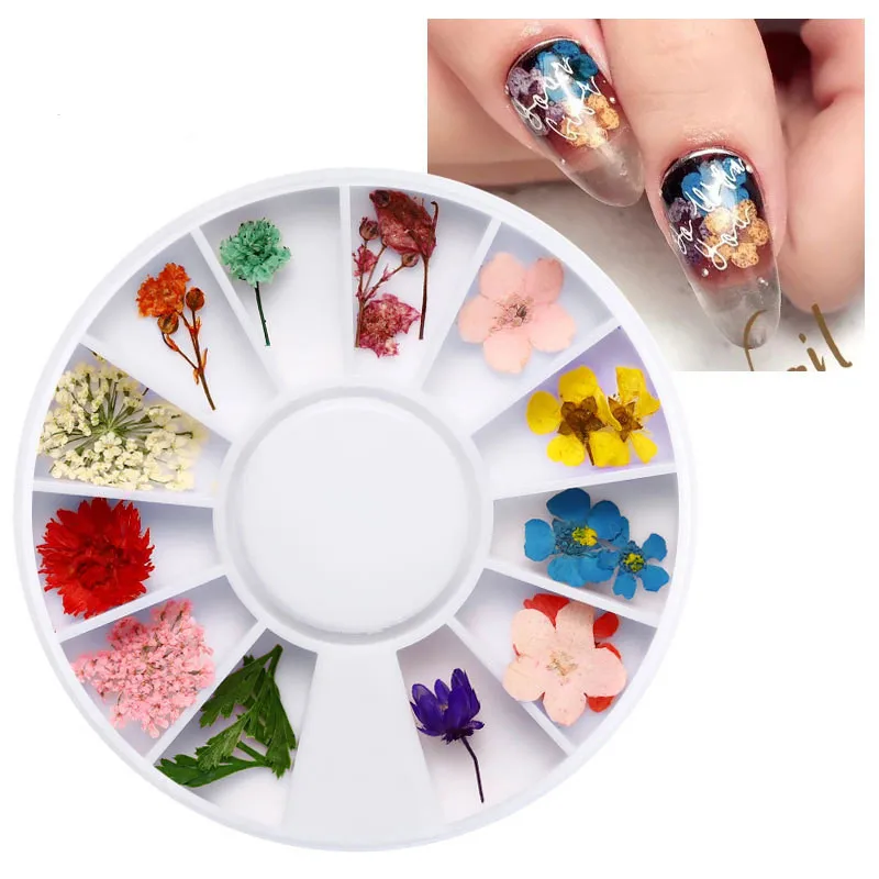 2021 NEW Nail Art Little Pressed Real Natural Flower Nail Art Design Decoration Supplies, 12 color
2021 NEW Nail Art Little Pressed Real Natural Flower Nail Art Design Decoration Supplies, 12 color