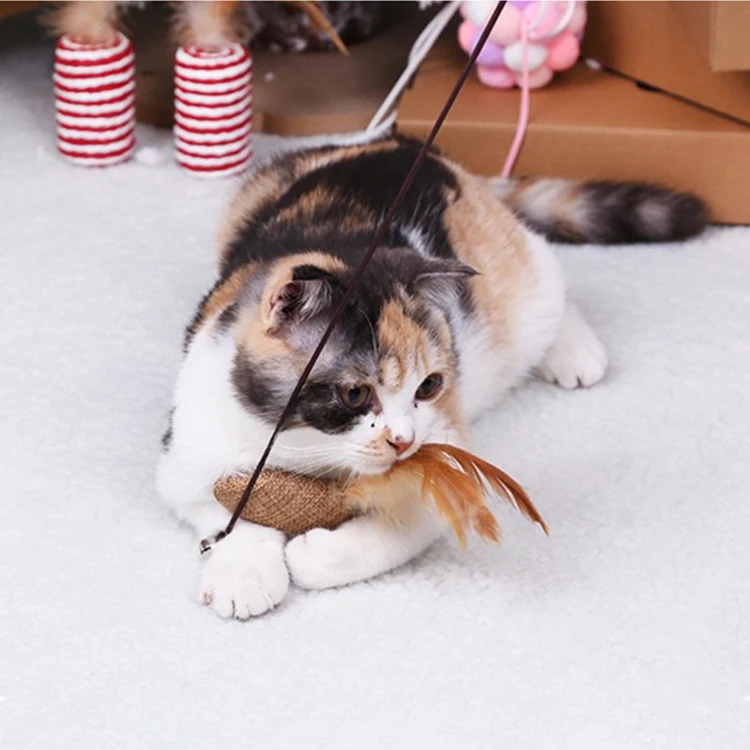 Factory spot wholesale pet dog cat toy feather mint funny cat stick, Customized color
Factory spot wholesale pet dog cat toy feather mint funny cat stick, Customized color