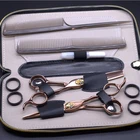 6" Professional Hair Cutting Scissors Barber Shears Set With Case
