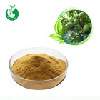 Wholesale natural olive leaf extract in bulk