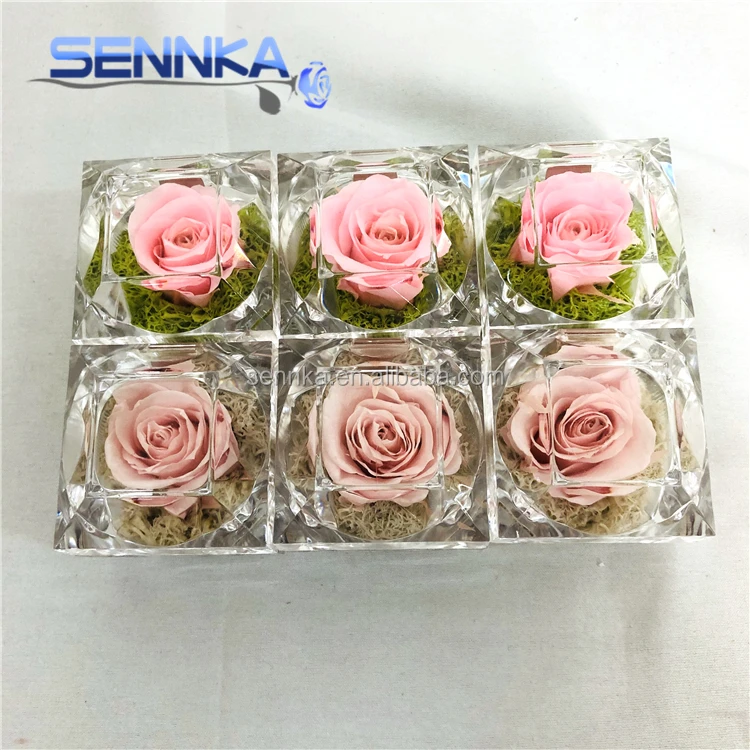 preserved rose box (22)