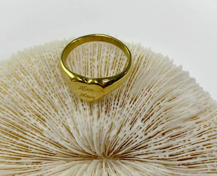 Heart Signet Jewelry Statement Jewelry Rings Signet Heart Ring 18K Gold Chunky Heart Rings
Heart Signet Jewelry Statement Jewelry Rings Signet Heart Ring 18K Gold Chunky Heart Rings