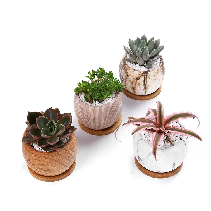 Wholesale 4 Piece/set Nordic Marbled Fleshy Round Ceramic Flower Pots With Wooden Tray
Wholesale 4 Piece/set Nordic Marbled Fleshy Round Ceramic Flower Pots With Wooden Tray