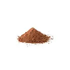 Ganoderma Lucidum Extract Supply Duanwood Reishi Mushroom Powder