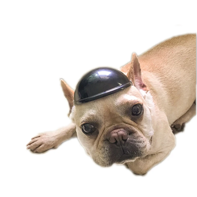 Wholesale Pet Supplies Hot Selling Pet Helmets Dog Bicycle Motorcycle Helmet Safety Doggie Hat For Traveling, Picture
Wholesale Pet Supplies Hot Selling Pet Helmets Dog Bicycle Motorcycle Helmet Safety Doggie Hat For Traveling, Picture