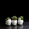 Wholesale Simple White Ceramic Pot Animal Shape Home Gardening Creative Desktop Flower Pot