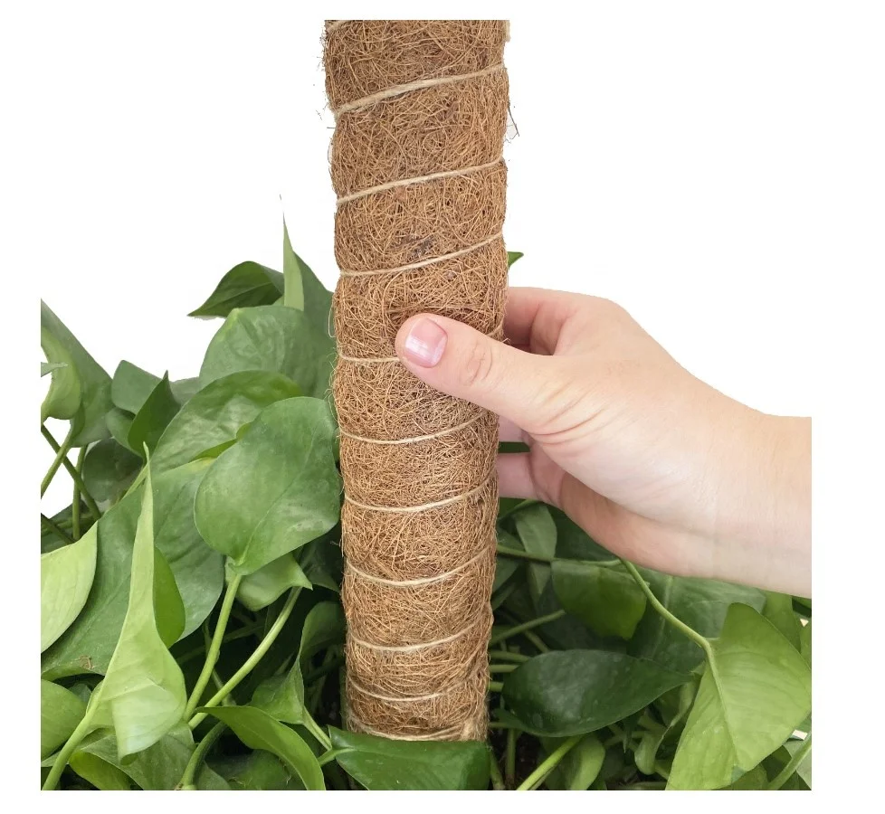 12inch 100% Compostable Coconut Coir totem Moss pole for indoor climbing plants, Natural brown
12inch 100% Compostable Coconut Coir totem Moss pole for indoor climbing plants, Natural brown