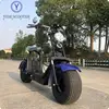 2020 The Most Fashionable Citycoco 2 Wheel Electric Scooter, Adult Electric Motorcycle