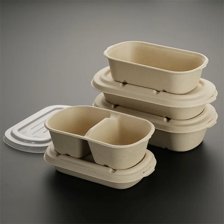 Biodegradable Disposable Pulp Meal Lunch Takeout Salad Bento Box Buy