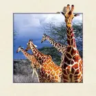 Fast delivery giraf lenticular 3d 5d picture poster