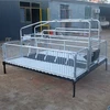 /product-detail/pig-equipment-pig-farrowing-crates-sow-farrowing-pen-62349355833.html