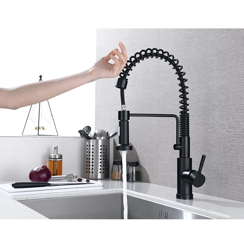 Modern Multifunction Torneira Flexible Gourmet faucet Black Color Sink Faucet Pull Out Down Kitchen Taps
Modern Multifunction Torneira Flexible Gourmet faucet Black Color Sink Faucet Pull Out Down Kitchen Taps