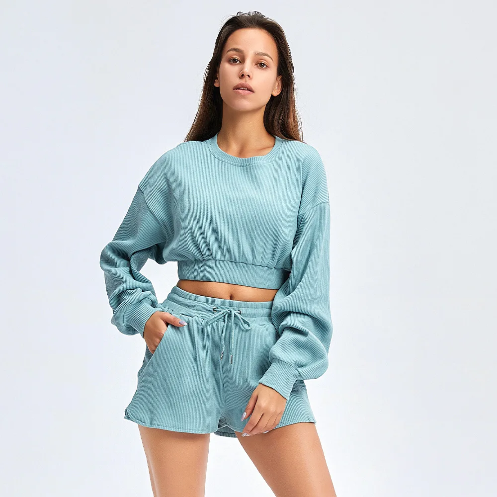 New design sports clothing fitness suit long sleeve crop top + shorts 2 piece set women jogger sweatsuits, 6 colors
New design sports clothing fitness suit long sleeve crop top + shorts 2 piece set women jogger sweatsuits, 6 colors