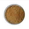 Hot selling high quality broccoli extract powder Sulphoraphane