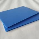 Plastic Pp Honeycomb Sheet Polypropylene Panel Automotive