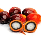 Baolin 100% Pure organic crude Palm Oil price