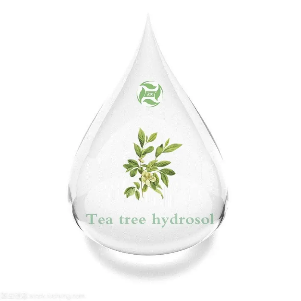 Manufacturers Supply Pure Natural Tea Tree Water Hydrolate Tea tree water Hydrosol For Skin Care Wholesale Bulk
Manufacturers Supply Pure Natural Tea Tree Water Hydrolate Tea tree water Hydrosol For Skin Care Wholesale Bulk
