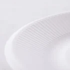 Disposable Sugarcane Bagasse Plates Sugarcane Pulp Tableware