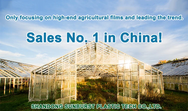 Invernaderos Agricultural Plastic Film Agriculture Plastic Film Greenhouse