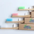 Tongwode bamboo products Professional eco-friendly biodegradable organic soft bamboo charcoal toothbrush