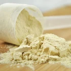 NON-GMO Isolated Soy Protein 9010-10-0